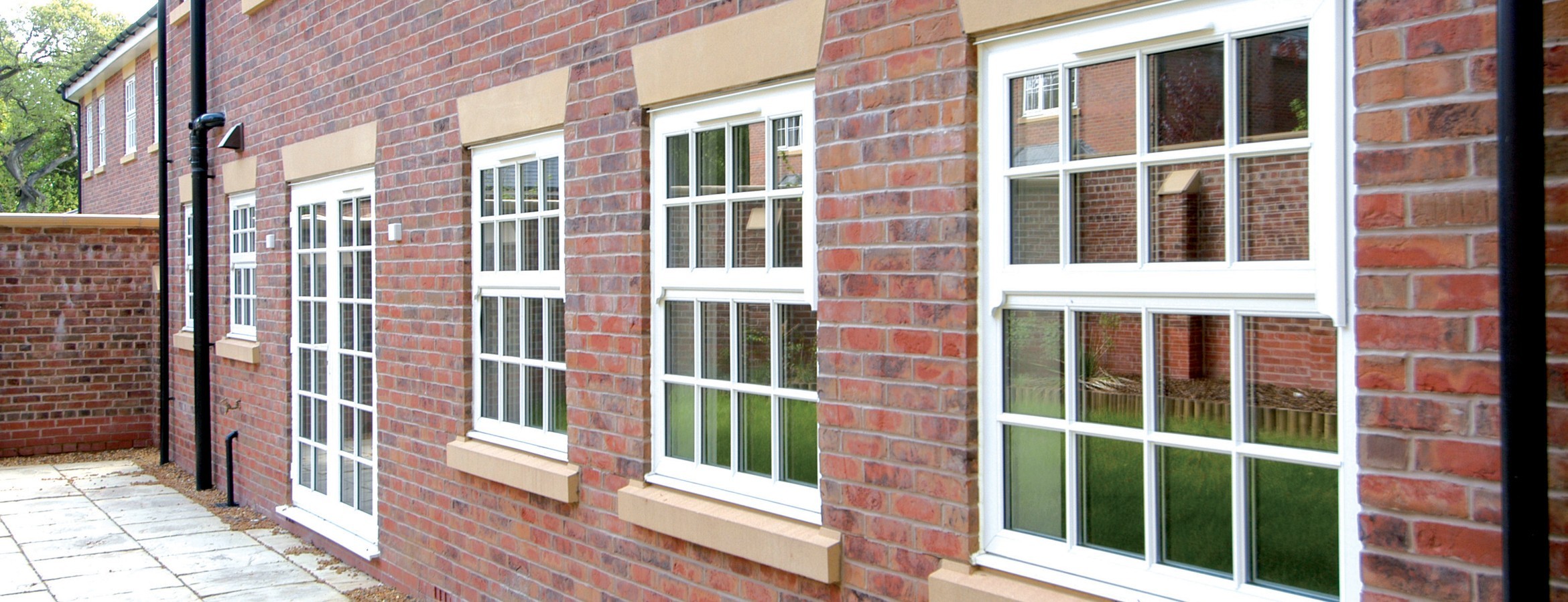 Wilson Windows